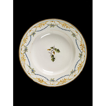 Plate Plate