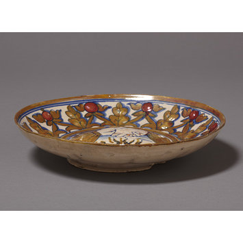 Dish Dish