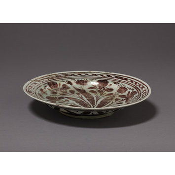 Dish Dish