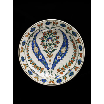 Dish Dish