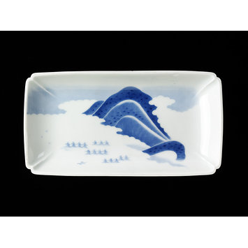 Dish Dish
