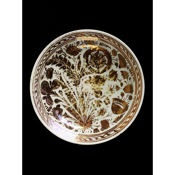 Dish Dish
