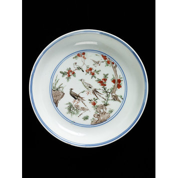 Dish Dish