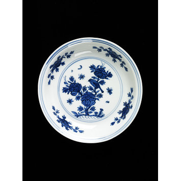 Dish Dish