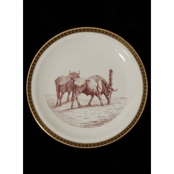 Plate Plate