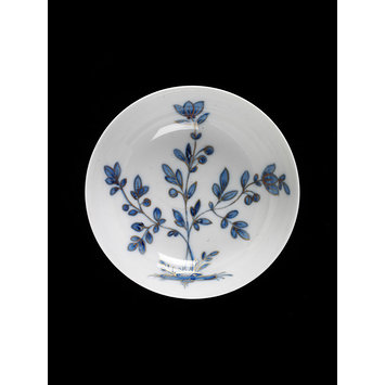 Saucer Saucer