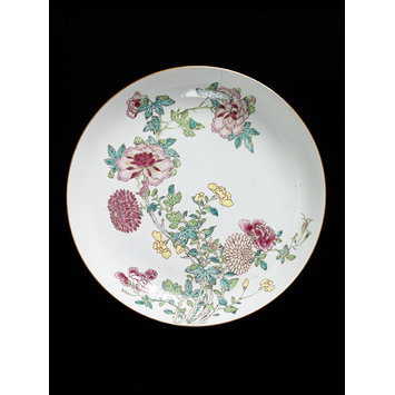 Dish Dish