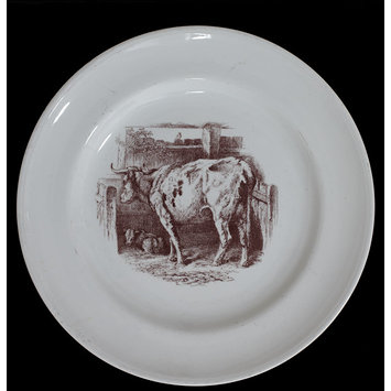 Plate Plate