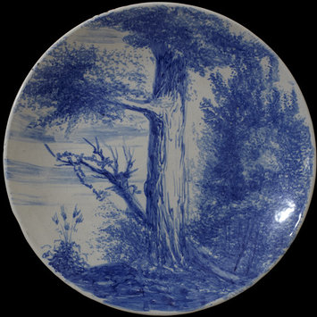 Plate Plate