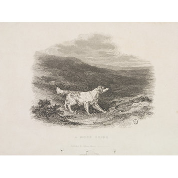 Print - A Moor Scene. Print - A Moor Scene.