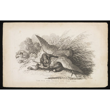 Print - The Fox The Heron And The Eel Print - The Fox The Heron And The Eel
