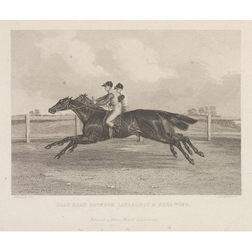 Print - Dead Heat Between Lanercost & Bee's-Wing. Print - Dead Heat Between Lanercost & Bee's-Wing.