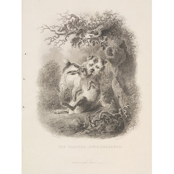 Print - The Poacher Over-Burdened Print - The Poacher Over-Burdened