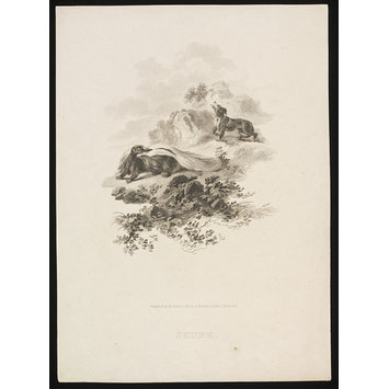 Print Print