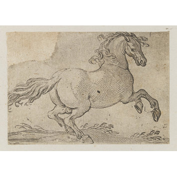 Intaglio print Intaglio print