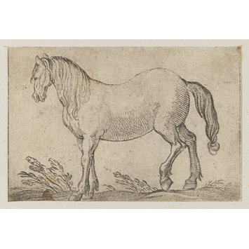Intaglio print Intaglio print