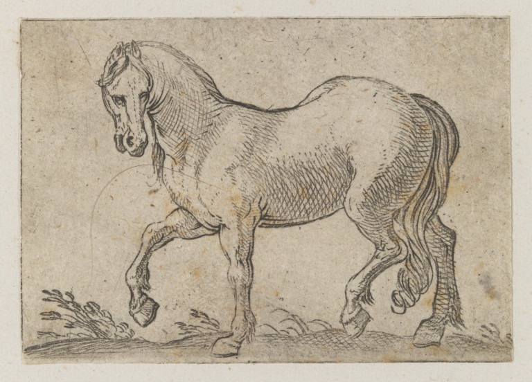 Intaglio print V&A Search the Collections