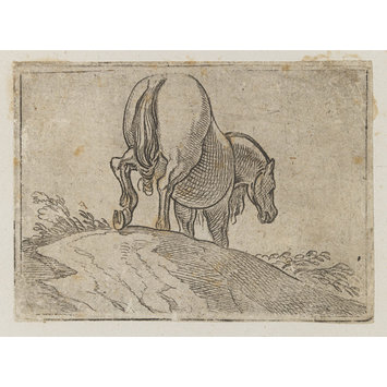 Intaglio print Intaglio print