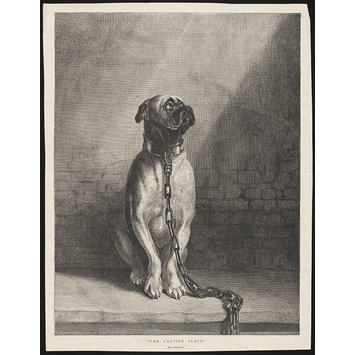Print - The Captive Slave Print - The Captive Slave