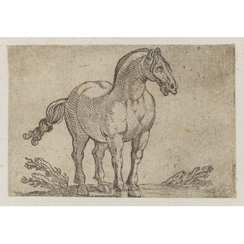 Intaglio print Intaglio print