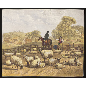 Aquatint Aquatint