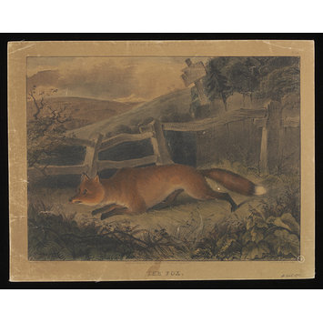 Print - Varty's Series of Domestic & Wild Animals Print - Varty's Series of Domestic & Wild Animals