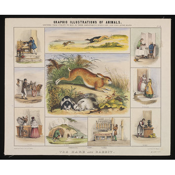 Print - Graphic Illustrations of Animals. Print - Graphic Illustrations of Animals.
