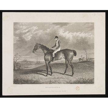 Print - MOON RAKER Print - MOON RAKER