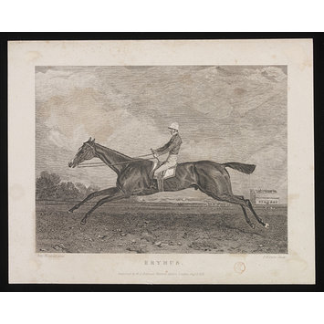 Print - ERYMUS Print - ERYMUS