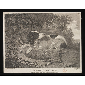Print - SPANIEL AND HARE Print - SPANIEL AND HARE