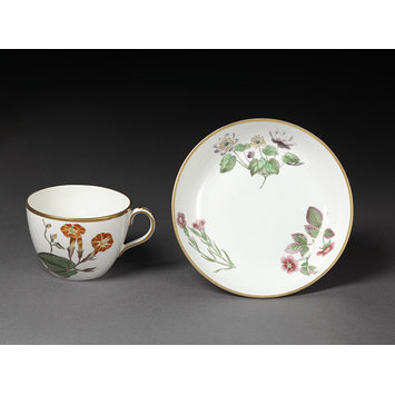 Tea cup and saucer Tea cup and saucer