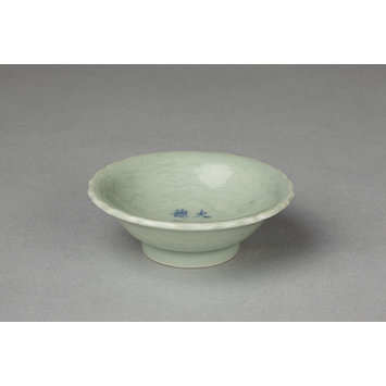 Dish Dish
