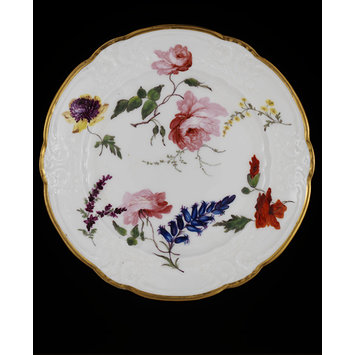 Plate Plate