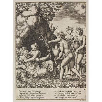 Print - The History of Apollo and Daphne Print - The History of Apollo and Daphne