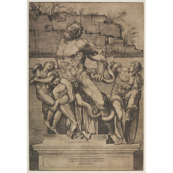 Print - The Laocoon Before Restoration Print - The Laocoon Before Restoration