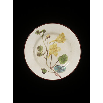 Plate Plate