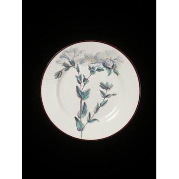 Plate Plate