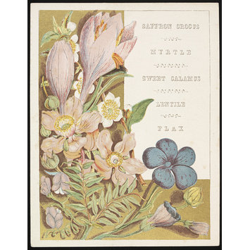 Card - Flowers and Fruit from Bible Lands Card - Flowers and Fruit from Bible Lands