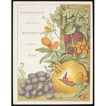 Card - Flowers and Fruit from Bible Lands Card - Flowers and Fruit from Bible Lands