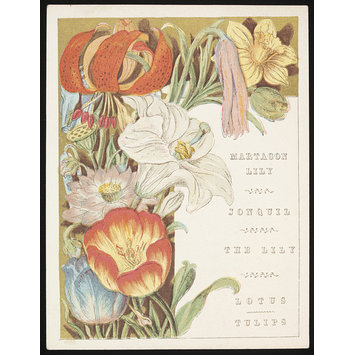 Card - Flowers and Fruit from Bible Lands Card - Flowers and Fruit from Bible Lands