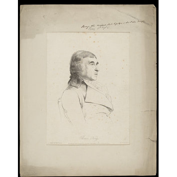 Print - H Beard Print Collection Print - H Beard Print Collection