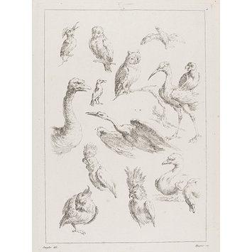 Print Print