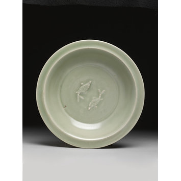 Dish Dish