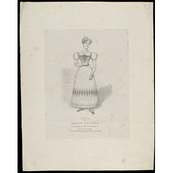 Print - H Beard Print Collection Print - H Beard Print Collection