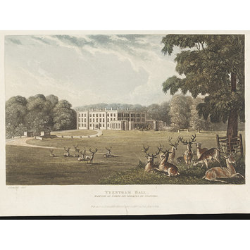 Aquatint - View of Trentham Hall, Staffordshire, the seat of the Marquis of Stafford Aquatint - View of Trentham Hall, Staffordshire, the seat of the Marquis of Stafford