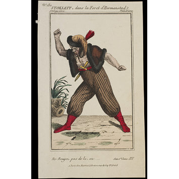 Print - H Beard Print Collection Print - H Beard Print Collection