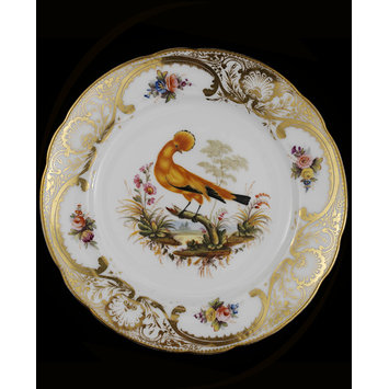 Plate Plate