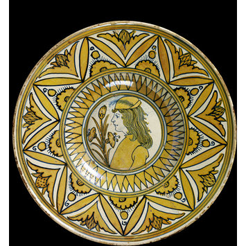 Dish Dish