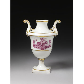 Vase Vase