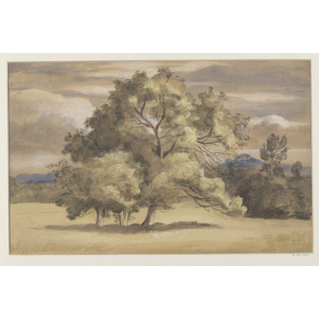 Watercolour drawing Watercolour drawing